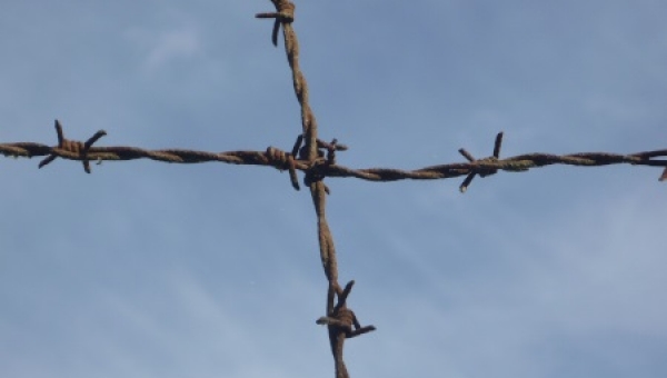 Bald 50 neue Selige?