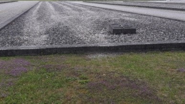 Instagram Geistliche im KZ Dachau